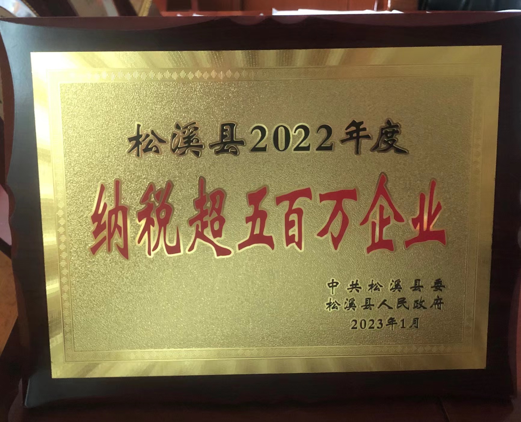 喜報(bào)！易順建工集團(tuán)喜獲“松溪縣2022年度納稅超五百萬企業(yè)”榮譽(yù)