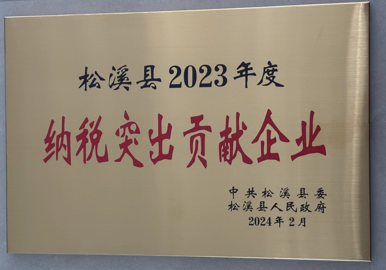 喜報！易順建工集團榮獲“松溪縣2023年度納稅突出貢獻企業(yè)”稱號